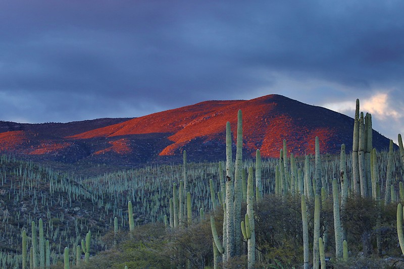 EF Block home in the Baja mountains